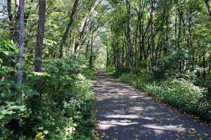 Photo of the bike trail through George Wyth State Park.